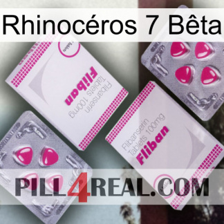Rhinocéros 7 Bêta 33